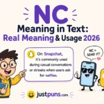 NC Meaning in Text: Real Meaning & Usage 2026